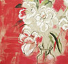 Bryna Cohen: image 3/4 thumb