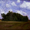 Adria Collins: image of Island