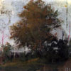 Peter Hoffer: image Untitled