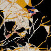Thrush Holmes: Untitled 5591  