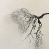 Micheline Landry: Thumbnail image