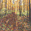 Brent McIntosh: Field