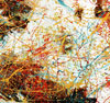 Geneviève Mercier: image 3/4 thumb
