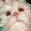 Lorraine Simms: Thumbnail image