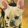 Lorraine Simms: Thumbnail image