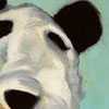 Lorraine Simms: Thumbnail image
