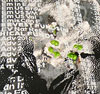 Gerald Vaandering: Thumbnail image