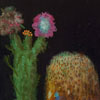 David Lafrance: image