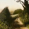 Stephen Hutchings: ithumbnail images