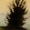 Stephen Hutchings:thumbnail images