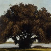 Stephen Hutchings:thumbnail images
