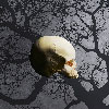 Lahey: Skull, and the silver lining, (from keep out)090121-01