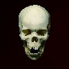 Lahey: Skull, (from Keep out) 090415-01