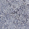 Lahey: Index Abstraction, 2008 (from the silver lining)081210-22