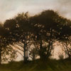 Stephen Hutchings image of:Line of trees and clouds