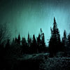 Joshua Jensen-Nagle: image of Lonely Nights