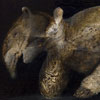 Jaber Lutfi: image of Pachyderme