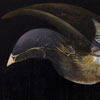 Jaber Lutfi: image of Oiseau
