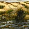 Réal Calder: image of Sable et terre