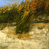 Réal Calder: image of Etang