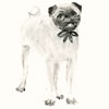 Dana Holst: Dog